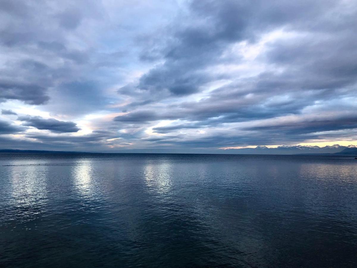 A Room With A View - Maisonnette Dans Bourg Medieval Au Bord Du Lac Leman 이브아르 외부 사진