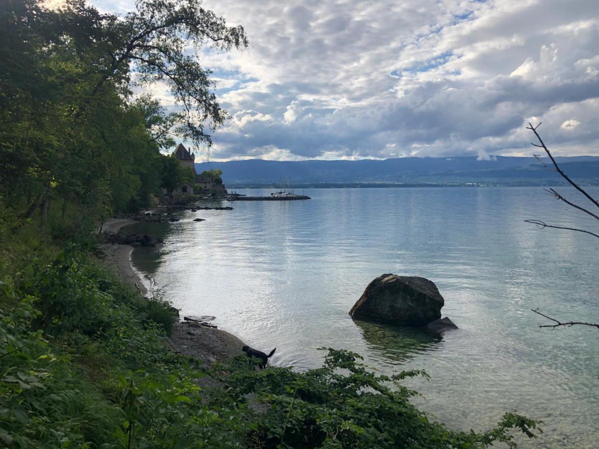 A Room With A View - Maisonnette Dans Bourg Medieval Au Bord Du Lac Leman 이브아르 외부 사진